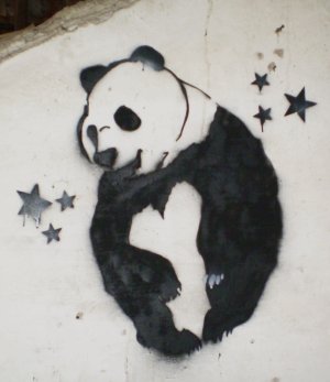 panda02